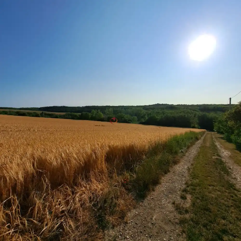 Veszprém megye - Balatonkenese