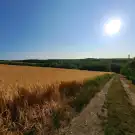 Veszprém megye - Balatonkenese