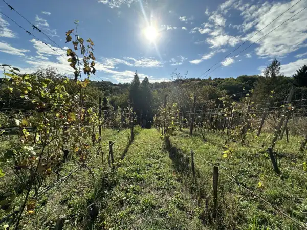 Eladó nyaraló, Homokkomárom 1 szoba 50 m² 7.5 M Ft