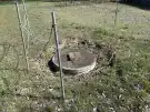 Pest megye - Kóka
