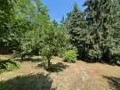 Komárom-Esztergom megye - Komárom