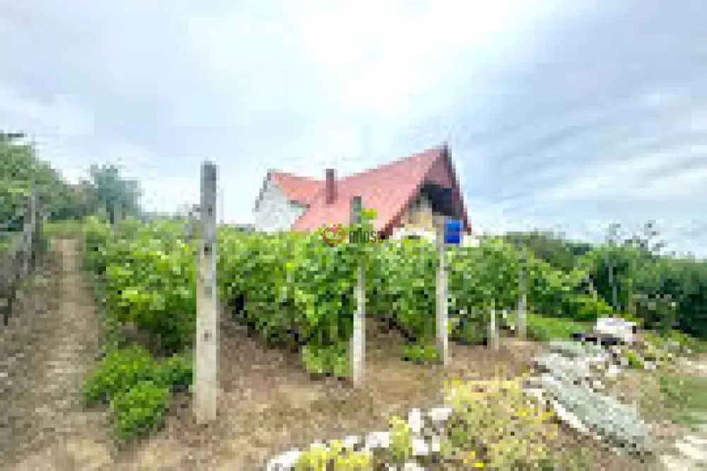 Baranya megye - Mohács