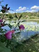 Pest megye - Pécel