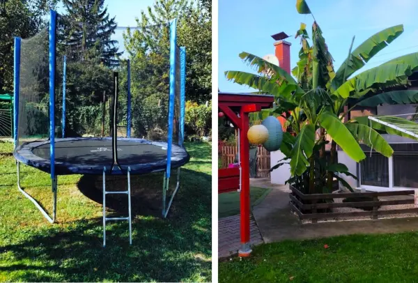 Eladó nyaraló, Ráckeve 3 szoba 60 m² 42 M Ft