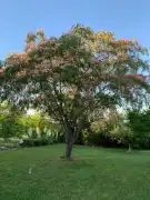 Somogy megye - Siófok