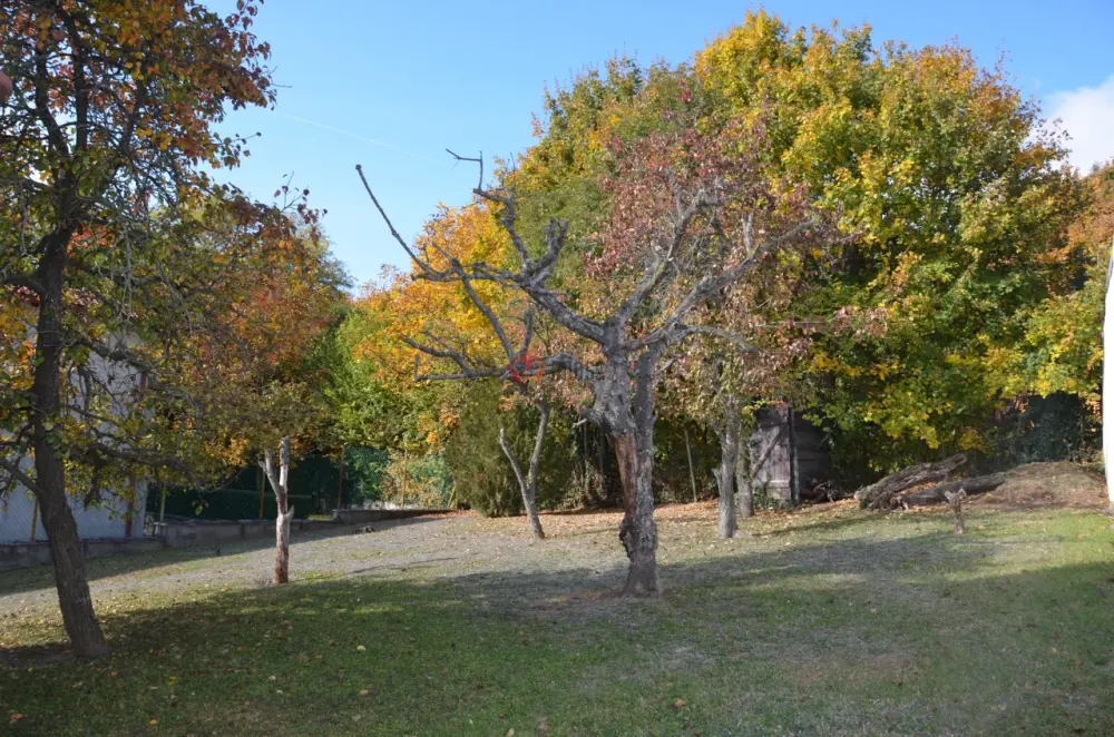 Pest megye - Szentendre