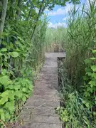 Pest megye - Szigethalom