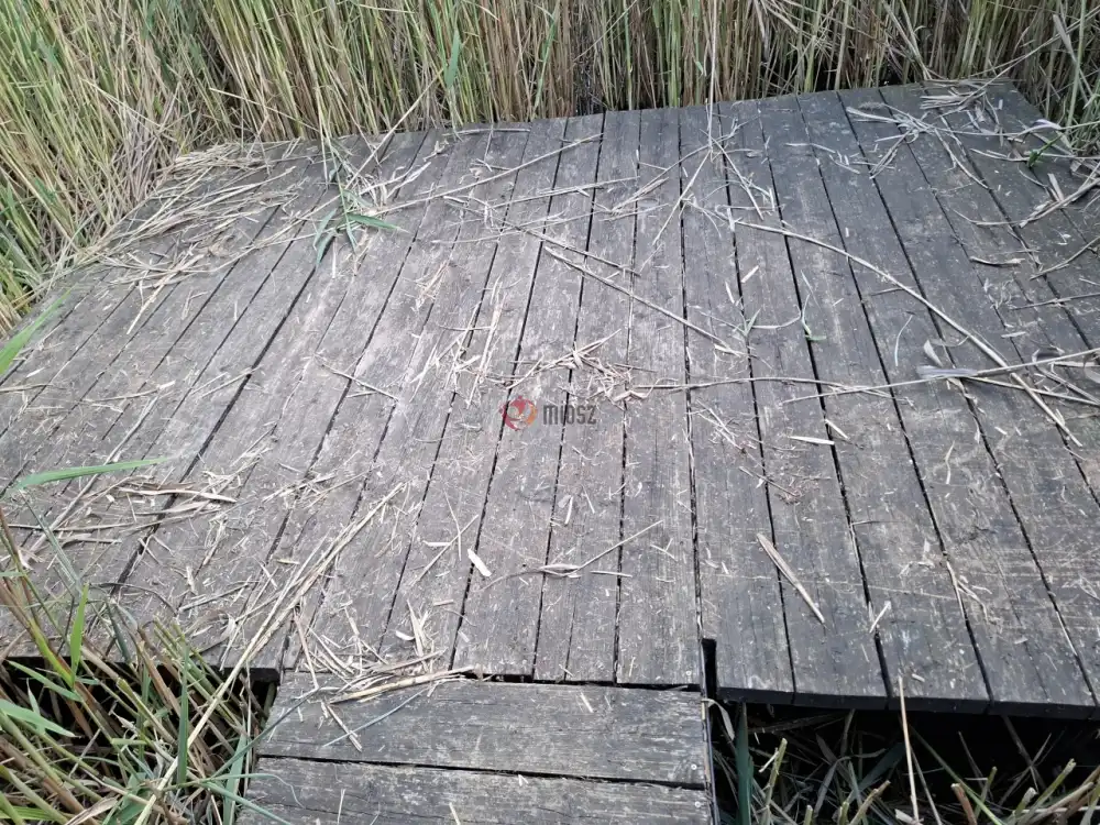 Pest megye - Szigethalom