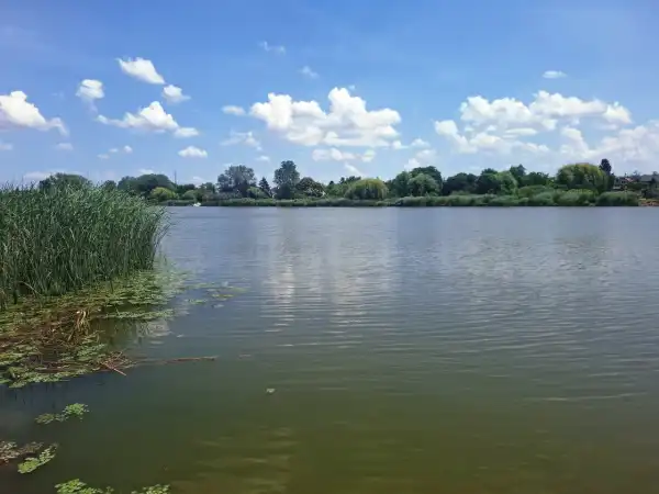 Eladó nyaraló, Szigethalom 1+1 szoba 32 m² 40 M Ft