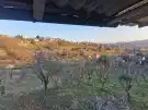 Zala megye - Zalaegerszeg