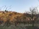 Zala megye - Zalaegerszeg