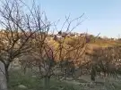 Zala megye - Zalaegerszeg