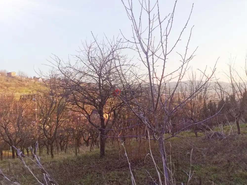Zala megye - Zalaegerszeg