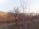 Zala megye - Zalaegerszeg