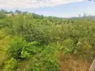 Zala megye - Zalaegerszeg