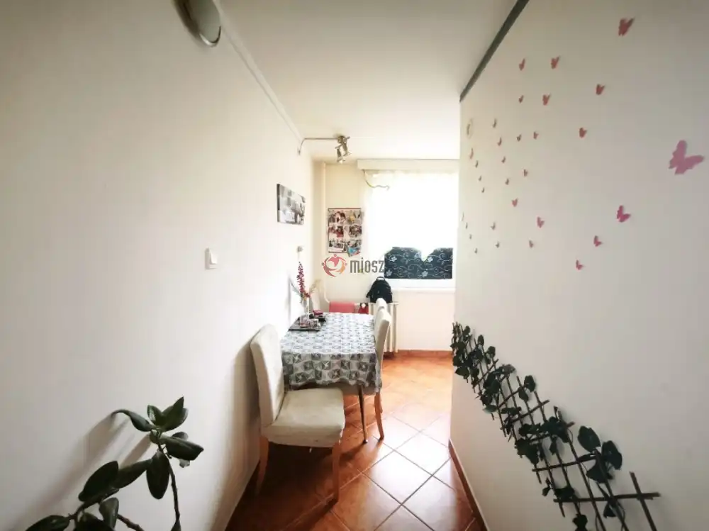 Bács-Kiskun megye - Kecskemét