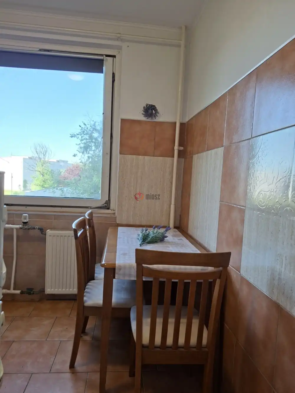 Csongrád megye - Szeged