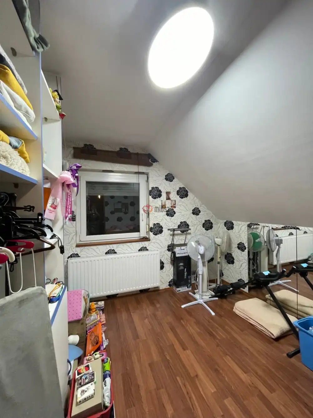 Csongrád megye - Szeged