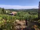 Baranya megye - Komló