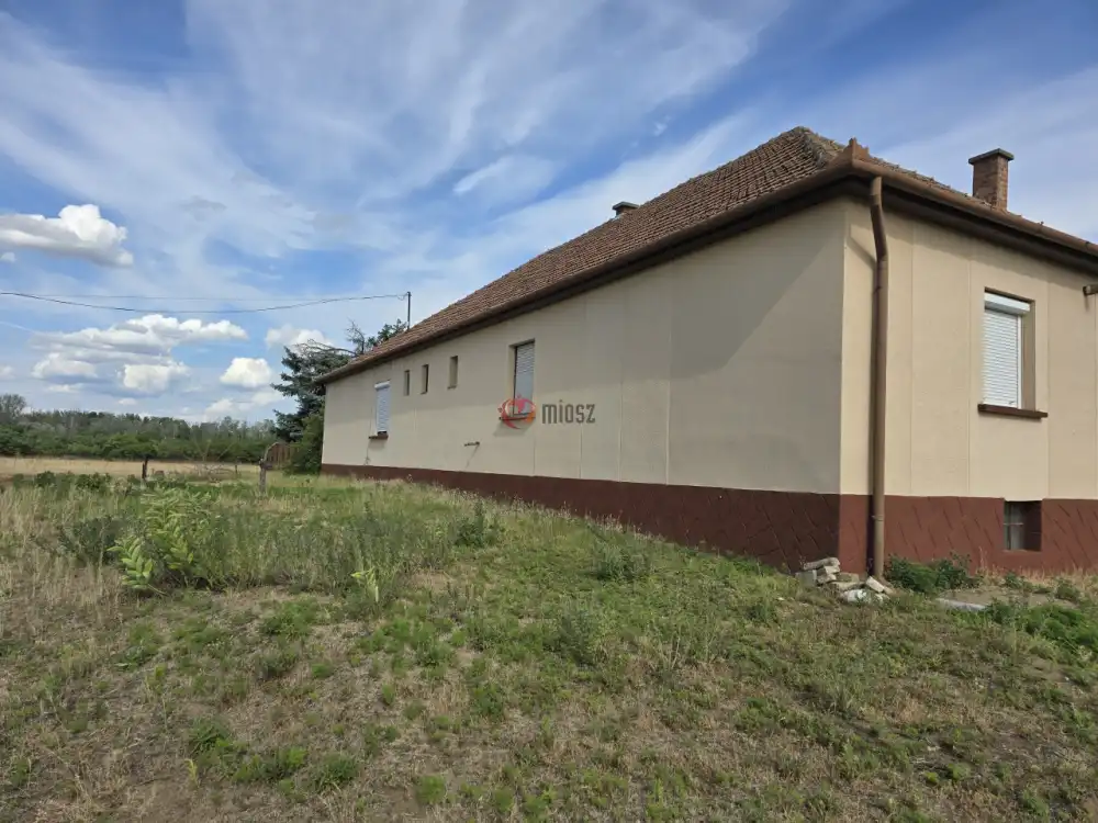 Bács-Kiskun megye - Bácsszőlős