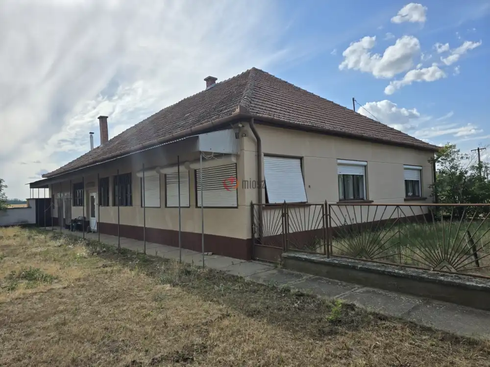 Bács-Kiskun megye - Bácsszőlős