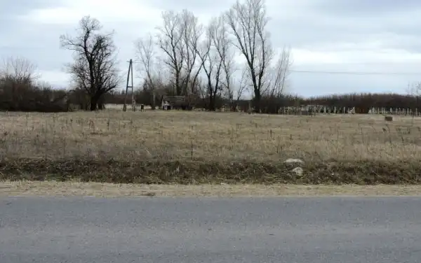 Eladó tanya, Kiskunmajsa 1 szoba 50 m² 5.9 M Ft