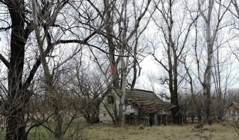 Bács-Kiskun megye - Kiskunmajsa