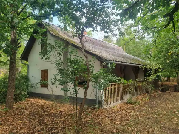 Eladó tanya, Nyárlőrinc 1 szoba 70 m² 38.9 M Ft