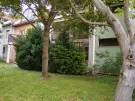 Veszprém megye - Balatonfüred