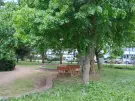 Veszprém megye - Balatonfüred