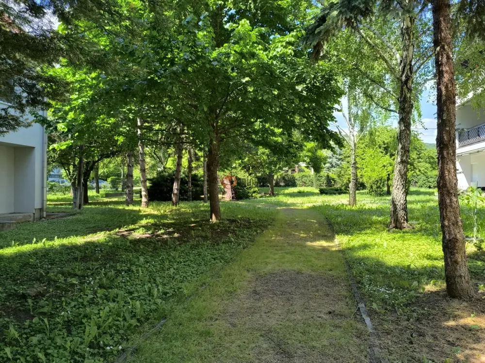 Veszprém megye - Balatonfüred