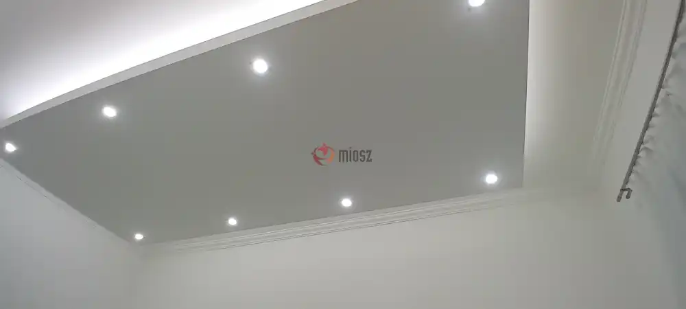 Budapest, IX. kerület - Rehabilitációs terület