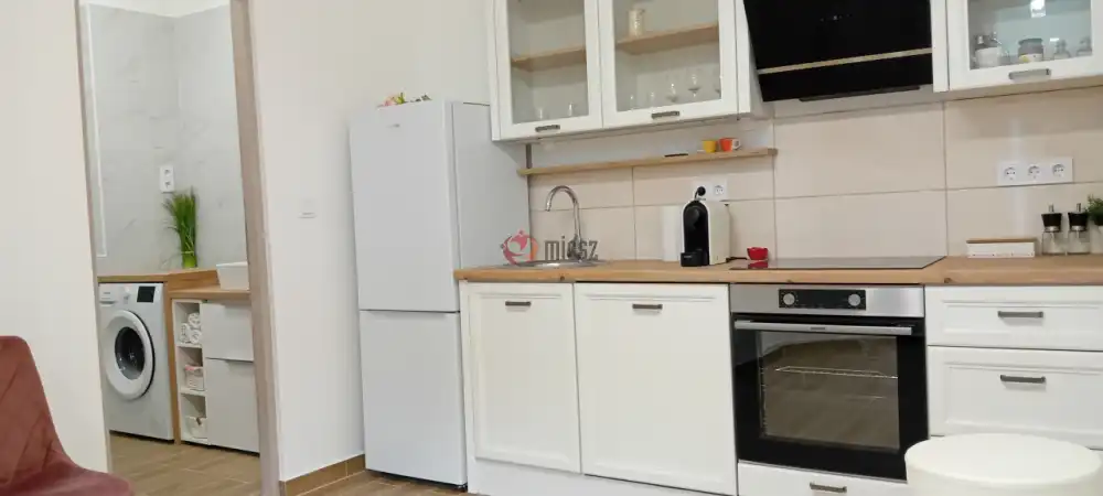 Budapest, IX. kerület - Rehabilitációs terület