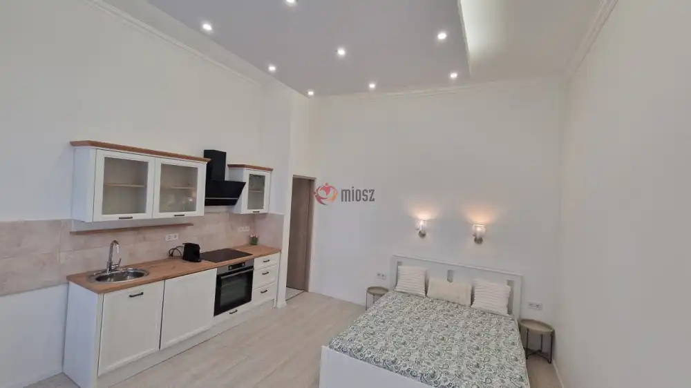 Budapest, IX. kerület - Rehabilitációs terület