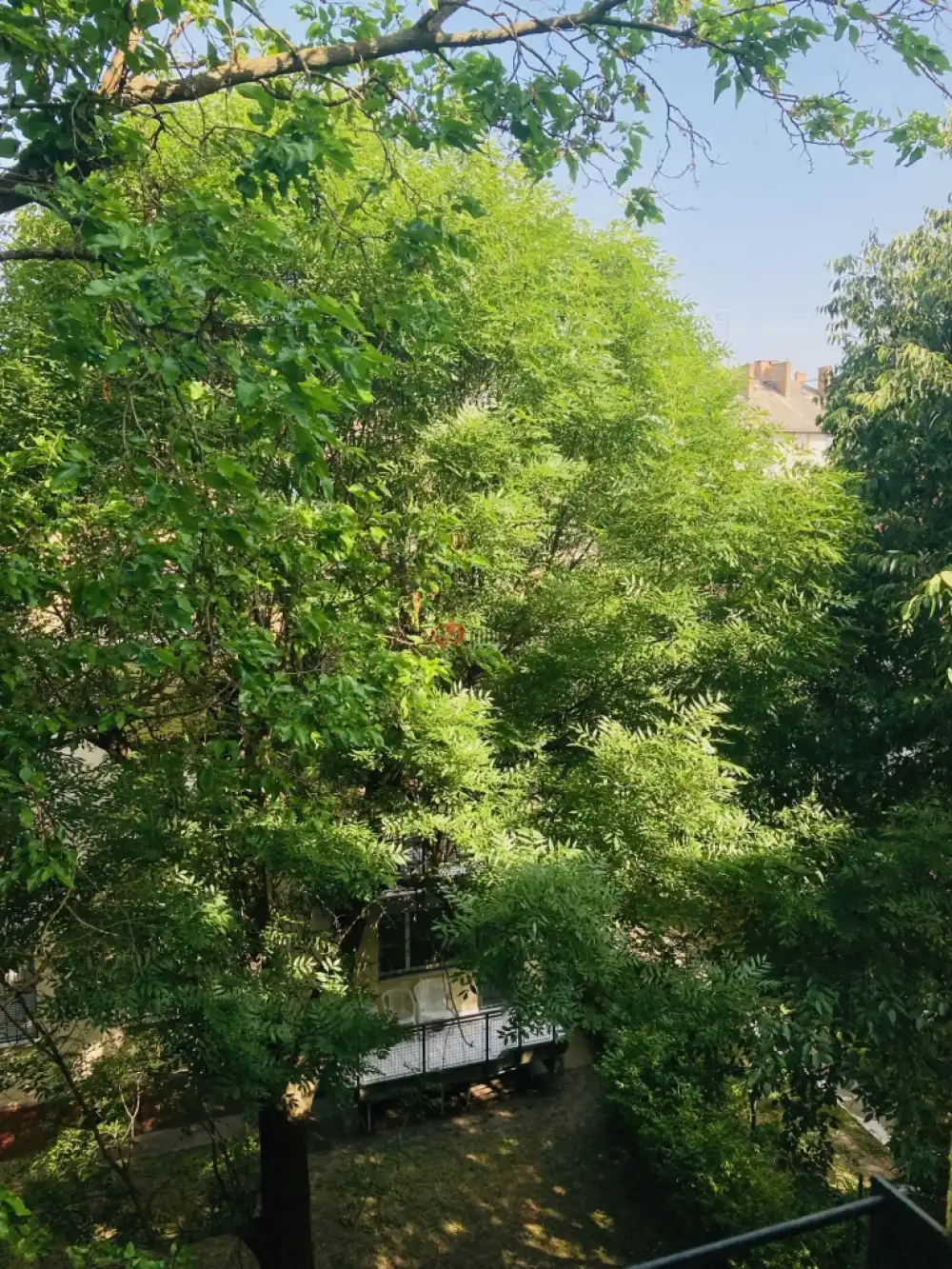 Budapest, XIV. kerület - Zugló