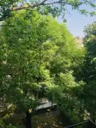 Budapest, XIV. kerület - Zugló