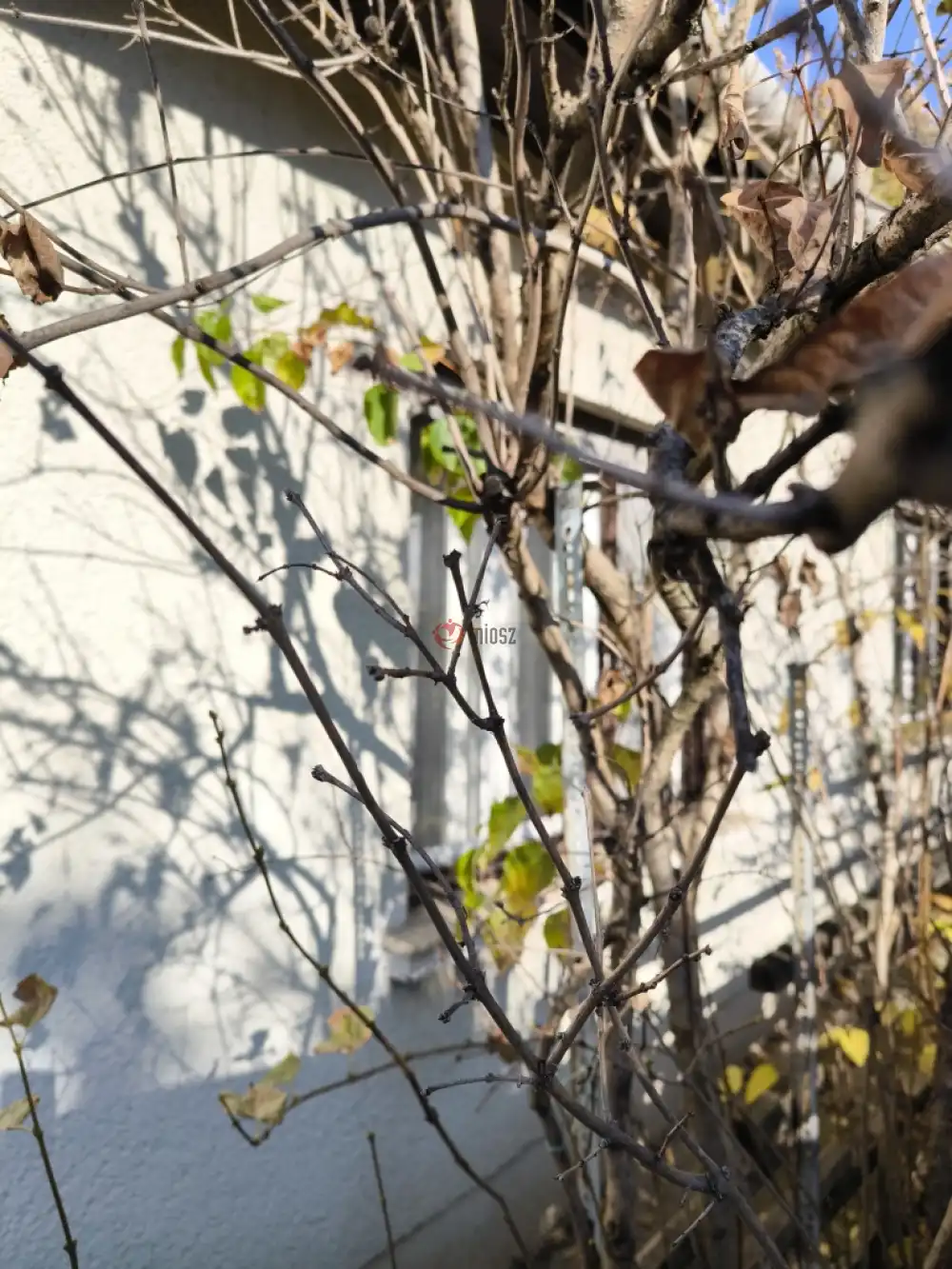 Budapest, XVIII. kerület - Erzsébettelep