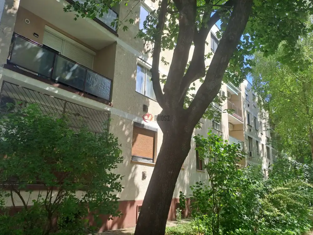 Bács-Kiskun megye - Kecskemét