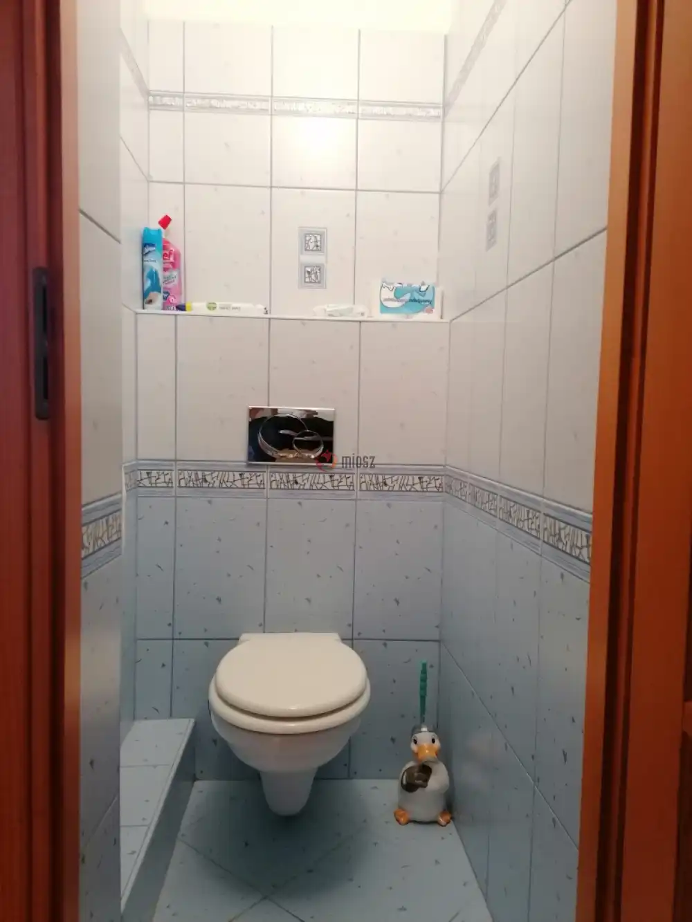 Csongrád megye - Szeged