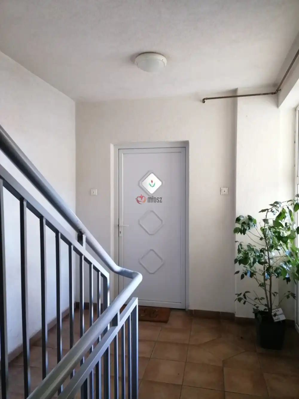 Csongrád megye - Szeged