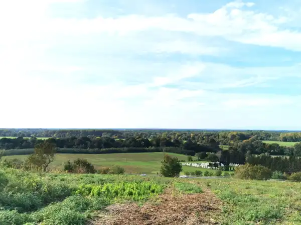 Eladó Üdülő, Alsóújlak 28509 m² 14.9 M Ft