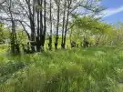 Bács-Kiskun megye - Baja