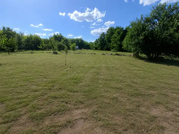 Eladó Üdülő, Baja 1922 m² 9.5 M Ft