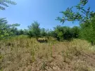 Bács-Kiskun megye - Baja
