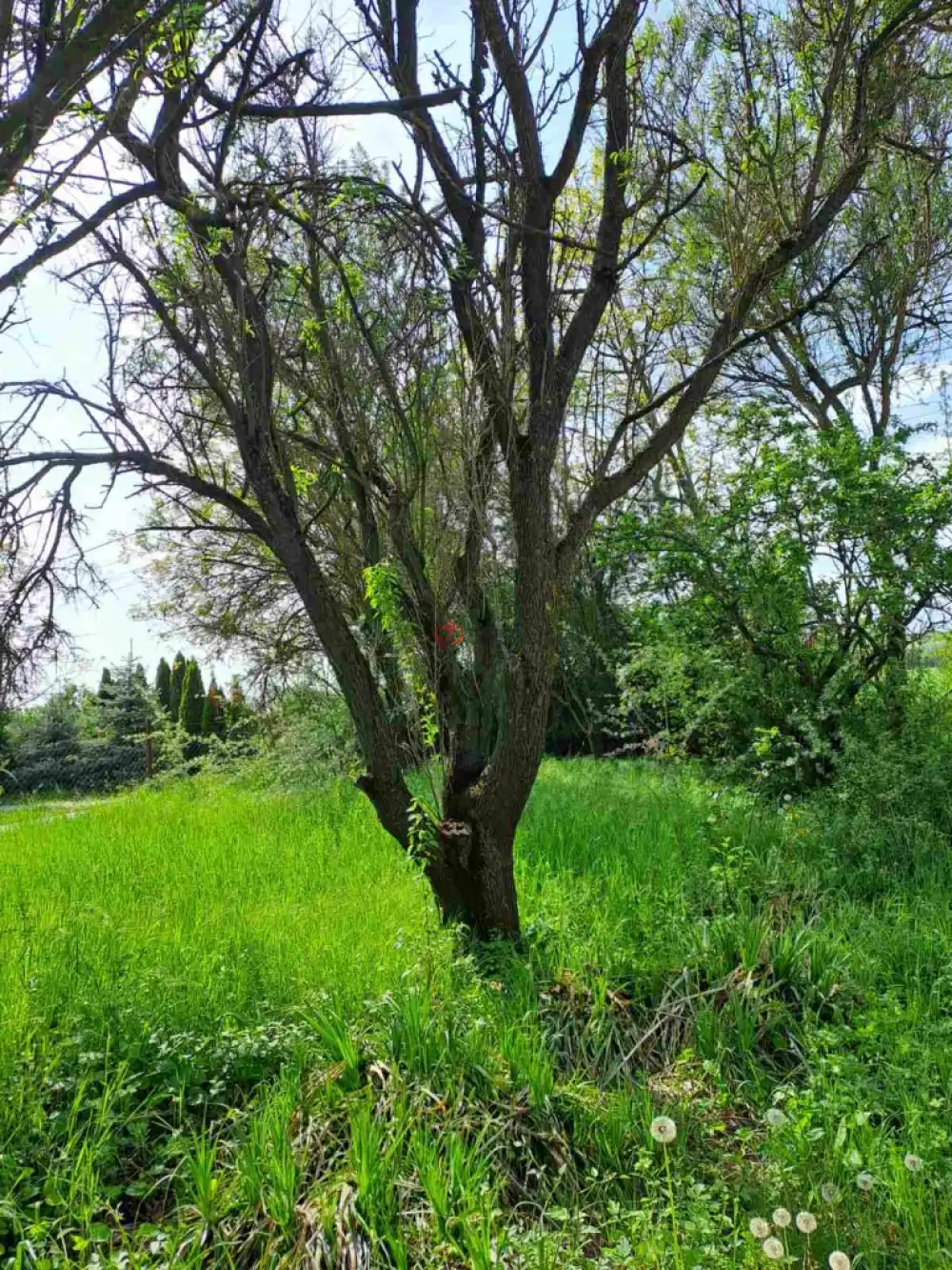 Veszprém megye - Balatonkenese