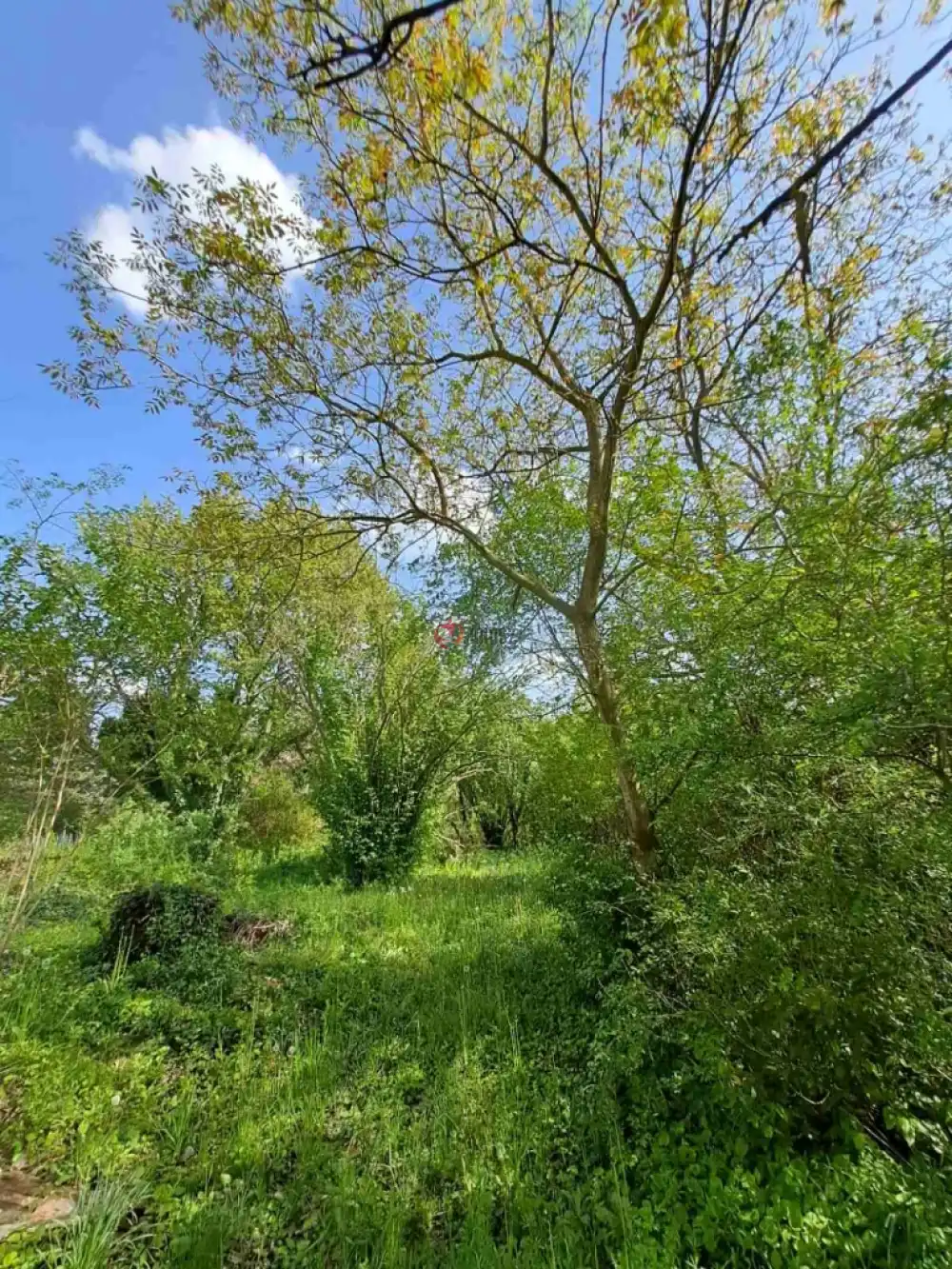 Veszprém megye - Balatonkenese