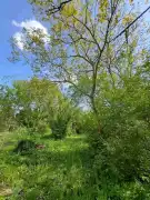 Veszprém megye - Balatonkenese