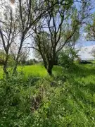 Veszprém megye - Balatonkenese