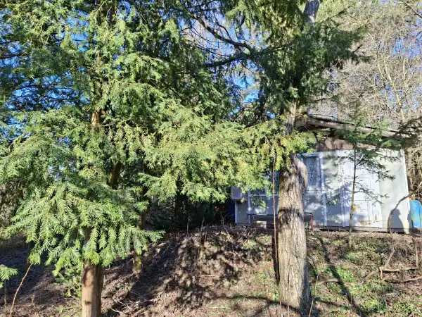 Eladó Üdülő, Budakeszi 743 m² 29.9 M Ft