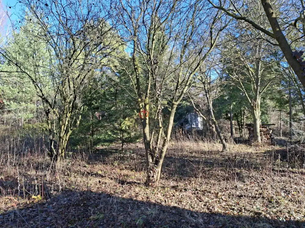 Pest megye - Budakeszi